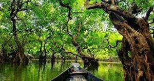 শীতকালে সিলেটের দর্শনীয় স্থান শীতকালে সিলেটের দর্শনীয় স্থান